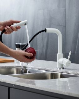 Смеситель для кухни Paulmark Kassel Ka214311-431TW белый матовый